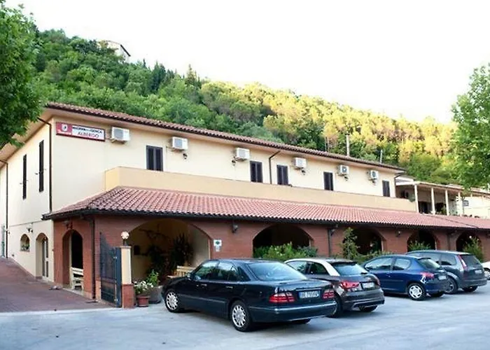 Magrini Della Genga (Ancona)